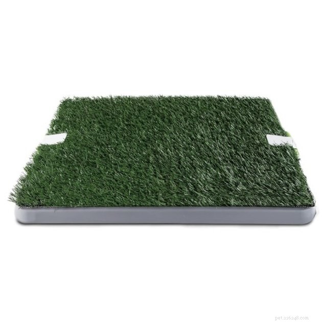 Top 2022 Picks for Grass Dog Potties: Comfort & Cleanliness for Your Pet