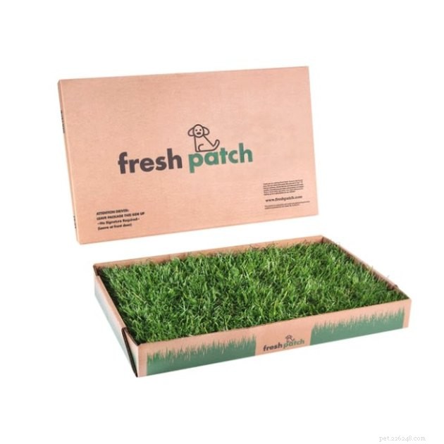 Top 2022 Picks for Grass Dog Potties: Comfort & Cleanliness for Your Pet