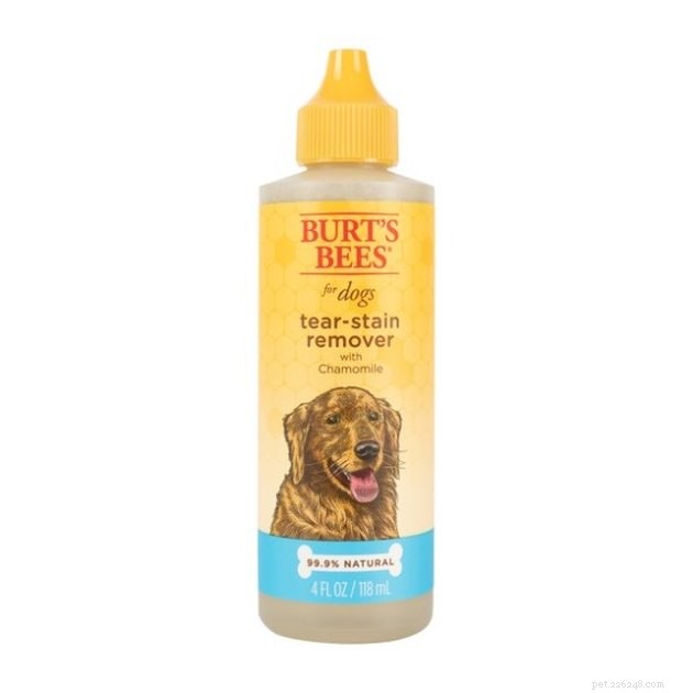 Top Tear Stain Removers for Dogs & Cats – 2022 Expert Guide