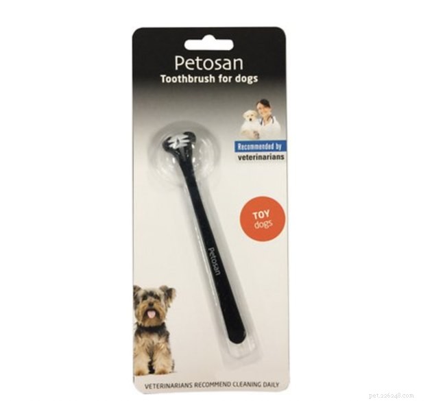 Top Dog Toothbrushes of 2022: Keep Your Pup s Smile Healthy