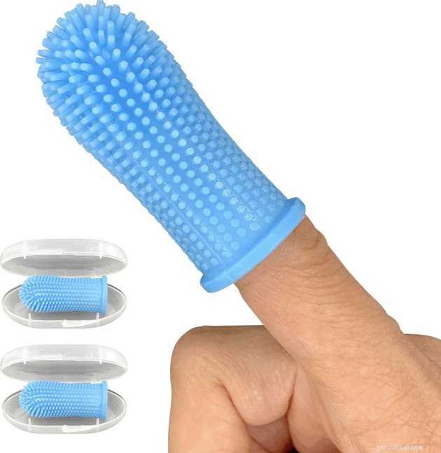 Top Dog Toothbrushes of 2022: Keep Your Pup s Smile Healthy