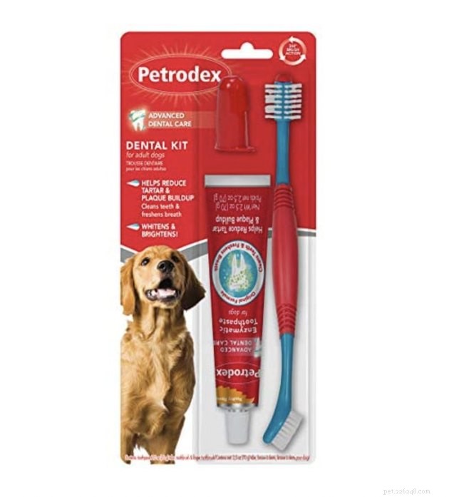 Top Dog Toothbrushes of 2022: Keep Your Pup s Smile Healthy