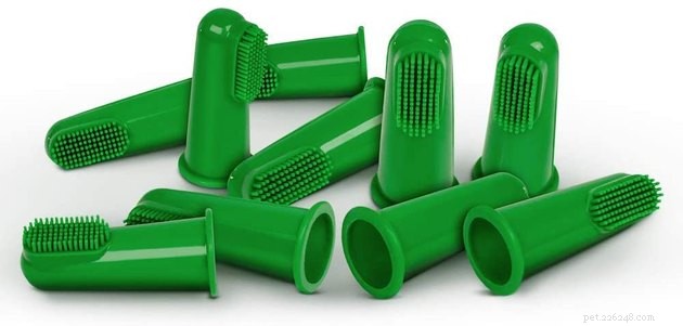 Top Dog Toothbrushes of 2022: Keep Your Pup s Smile Healthy