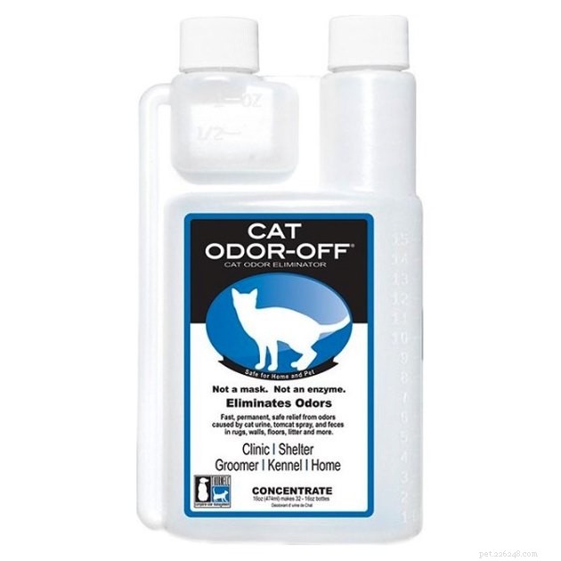2022 Guide to the Best Skunk Odor Removers for Pets