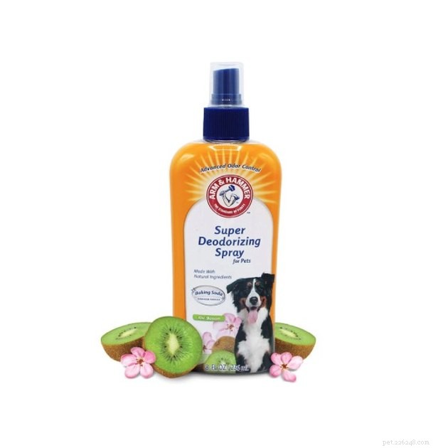 Top Dog Deodorizing Sprays of 2022 – Keep Your Pup Fresh & Odor-Free