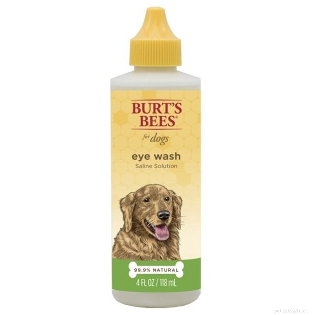 Top Dog Eye Wash Solutions of 2022: Safe & Effective Choices