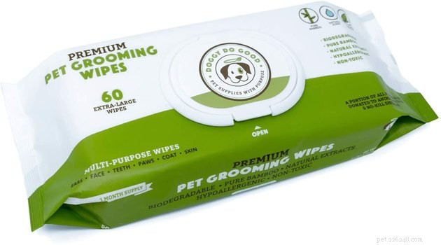 Top Dog Wipes of 2022: Expert Picks for Clean & Healthy Pups