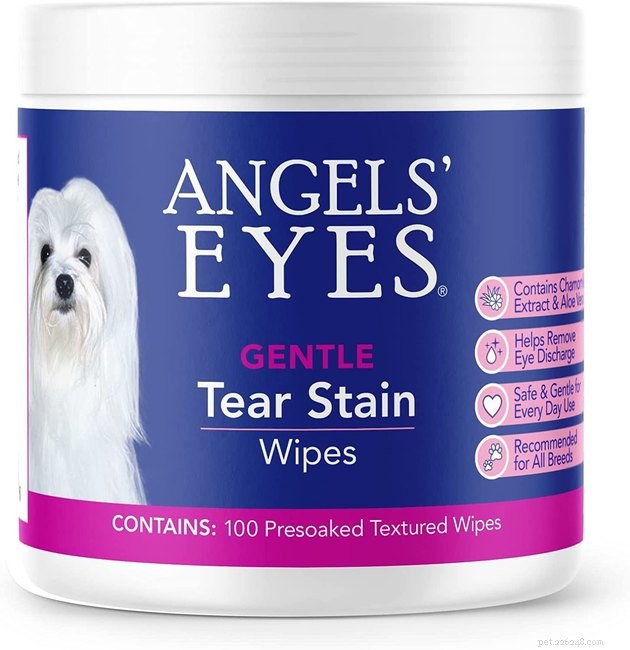 Top Dog Eye Wash Solutions of 2022: Safe & Effective Choices