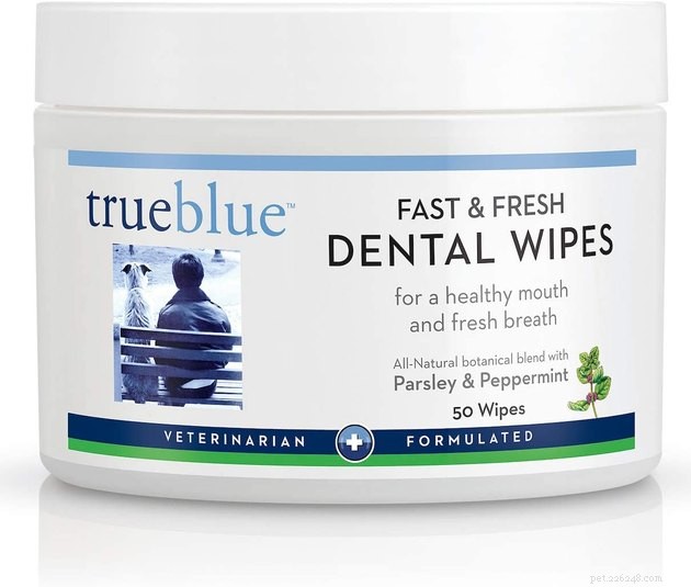 Top Dog Wipes of 2022: Expert Picks for Clean & Healthy Pups