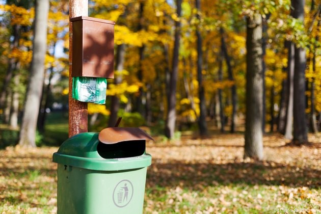 Top Pet Waste Garbage Cans of 2022: Clean, Odor‑Free Solutions