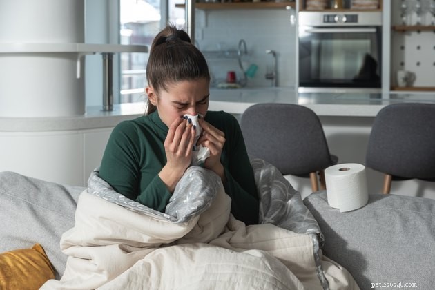 Expert Guide: Minimizing Pet-Related Allergens for a Healthier Home