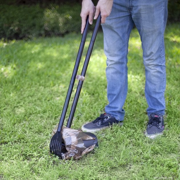 Top Dog Pooper Scoopers of 2022: Choose the Best for a Cleaner Yard