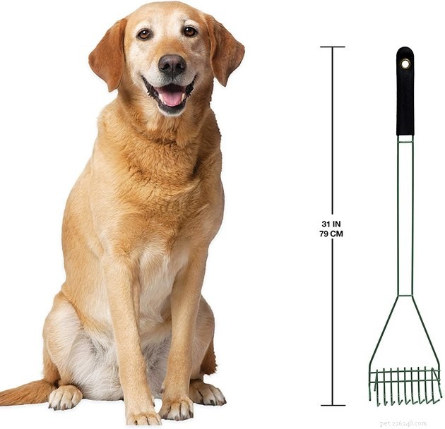Top Dog Pooper Scoopers of 2022: Choose the Best for a Cleaner Yard