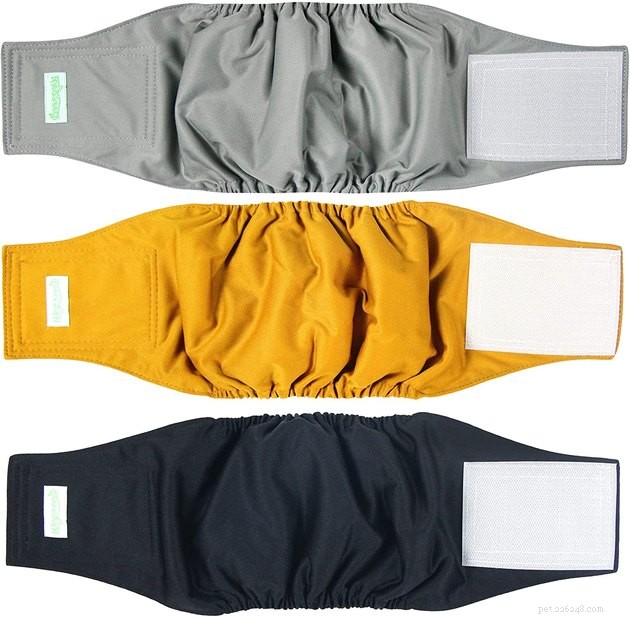 Top 2022 Dog Diapers: Leak‑Proof, Comfortable, and Easy to Fit