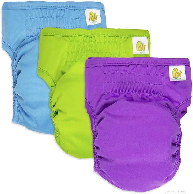 Top 2022 Dog Diapers: Leak‑Proof, Comfortable, and Easy to Fit