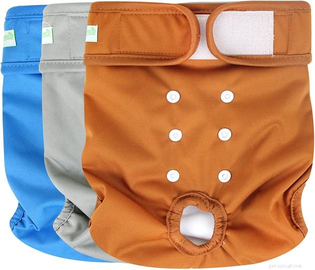Top 2022 Dog Diapers: Leak‑Proof, Comfortable, and Easy to Fit