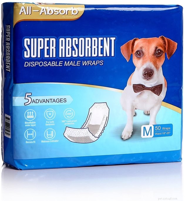 Top 2022 Dog Diapers: Leak‑Proof, Comfortable, and Easy to Fit