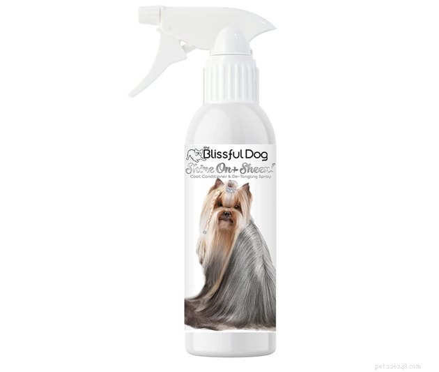 Top 2022 Dog Leave-In Conditioners: Keep Furry Friends Soft, Mat-Free & Healthy