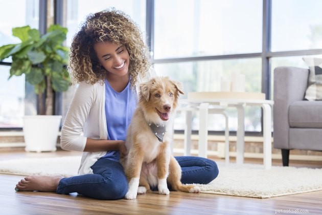 Top-Rated Puppy Foods of 2022: Fuel Your Pup s Growth