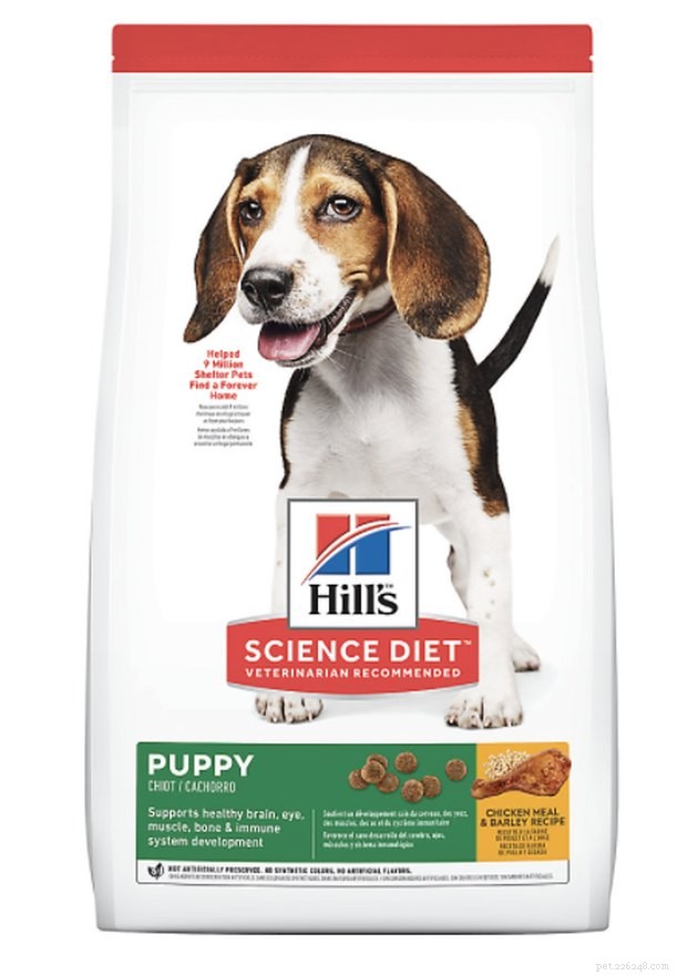 Top-Rated Puppy Foods of 2022: Fuel Your Pup s Growth