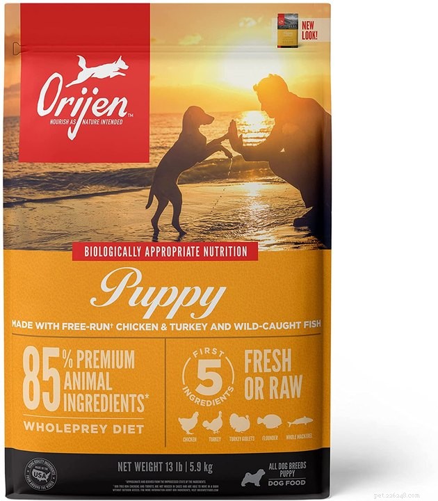 Top-Rated Puppy Foods of 2022: Fuel Your Pup s Growth