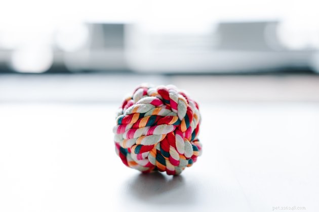 Discover Your Dog’s Favorite Toys: A Guide to Choosing Playthings That Promote Well-Being