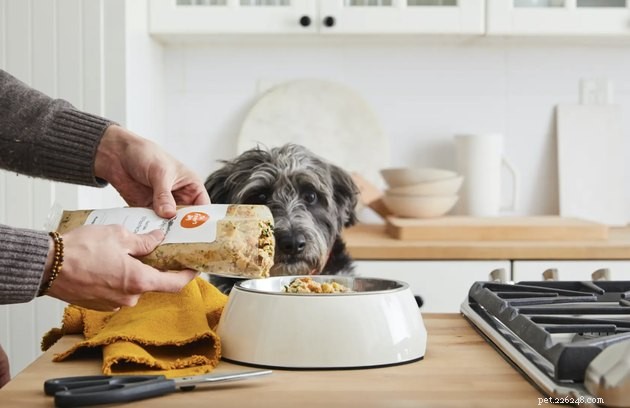 2022’s Best Fresh Dog Foods: Premium, Human‑Grade Meals for Healthy Pups