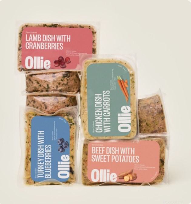 2022’s Best Fresh Dog Foods: Premium, Human‑Grade Meals for Healthy Pups