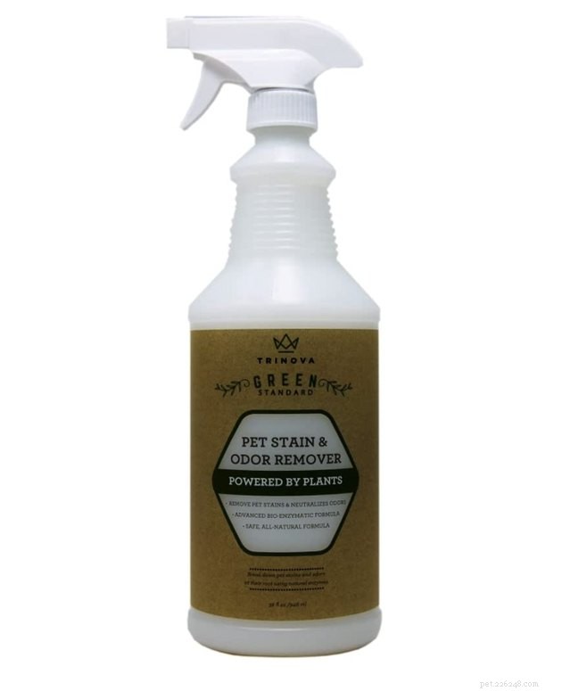 Top Pet Stain Removers of 2022: Fast, Safe, and Pet-Friendly