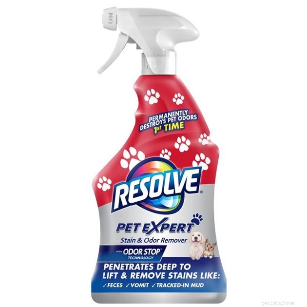 Top Pet Stain Removers of 2022: Fast, Safe, and Pet-Friendly