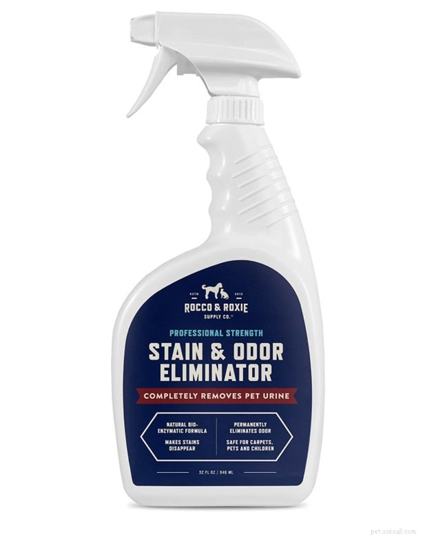 Top Pet Stain Removers of 2022: Fast, Safe, and Pet-Friendly