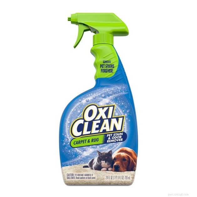 Top Pet Stain Removers of 2022: Fast, Safe, and Pet-Friendly