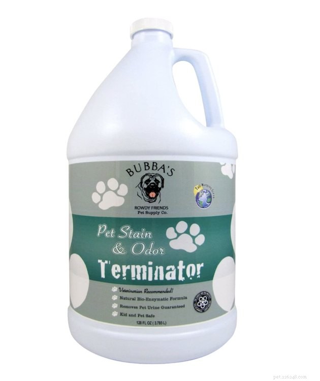 Top Pet Stain Removers of 2022: Fast, Safe, and Pet-Friendly