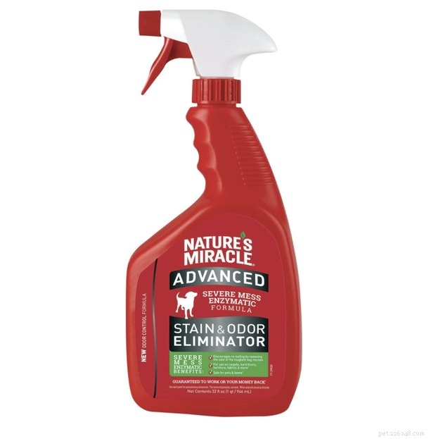 Top Pet Stain Removers of 2022: Fast, Safe, and Pet-Friendly