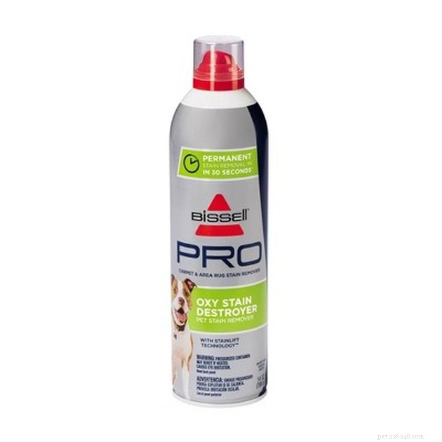 Top Pet Stain Removers of 2022: Fast, Safe, and Pet-Friendly