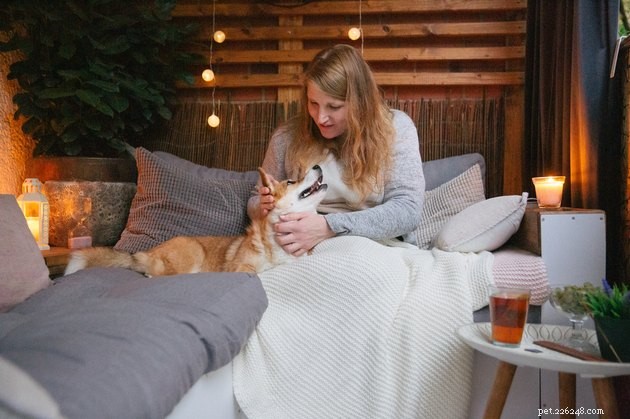 Top Pet Odor‑Neutralizing Candles & Diffusers for a Fresh Home
