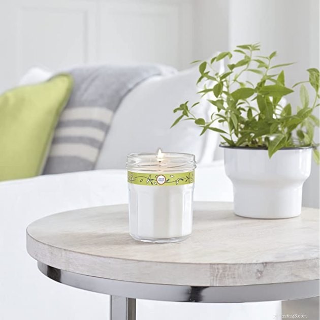 Top Pet Odor‑Neutralizing Candles & Diffusers for a Fresh Home