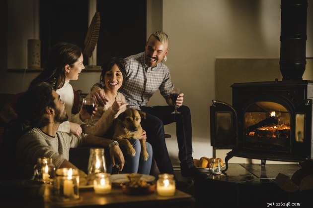 Top Pet Odor‑Neutralizing Candles & Diffusers for a Fresh Home