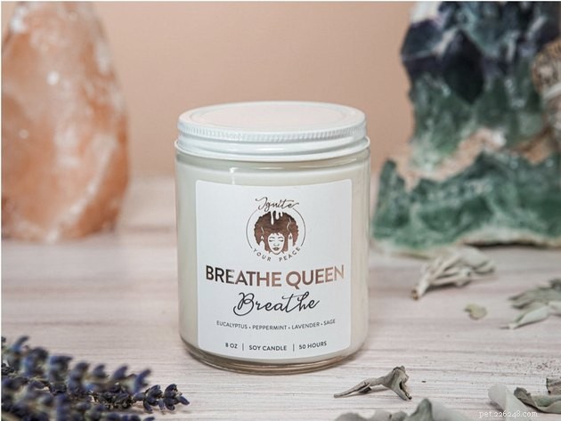 Top Pet Odor‑Neutralizing Candles & Diffusers for a Fresh Home