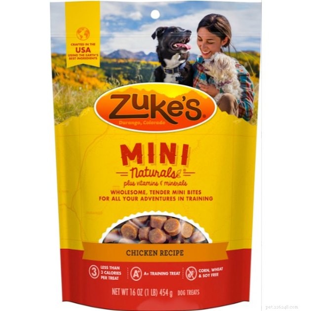 Top Puppy Treats of 2022: Healthy & Delicious Choices