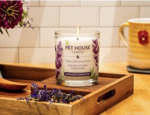 Top Pet Odor‑Neutralizing Candles & Diffusers for a Fresh Home