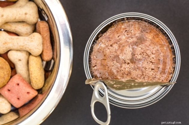 Top Wet Dog Foods of 2022: Flavor, Nutrition, and Puppy‑Friendly Choices