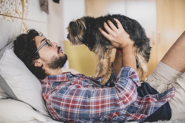 Is Your Dog Truly Happy With Your Actions? Learn to Read Their Body Language