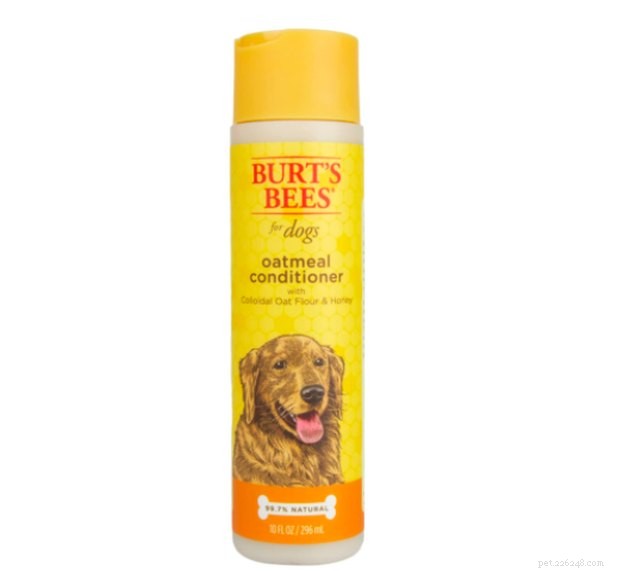 Top Dog Conditioners of 2022: Expert‑Recommended Choices for Healthy Skin & Shiny Coat