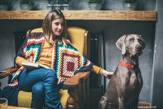 Is Your Dog Truly Happy With Your Actions? Learn to Read Their Body Language