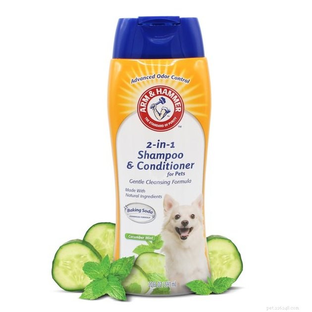 Top Dog Conditioners of 2022: Expert‑Recommended Choices for Healthy Skin & Shiny Coat