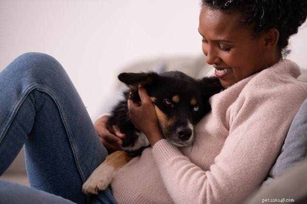 Exploring Why Dog Owners Prioritize Their Pets Over People