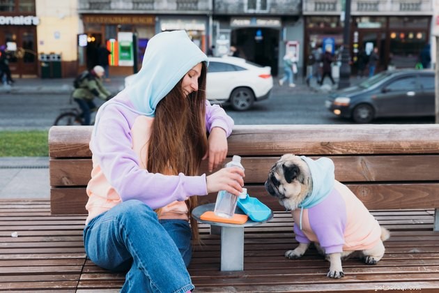Exploring Why Dog Owners Prioritize Their Pets Over People
