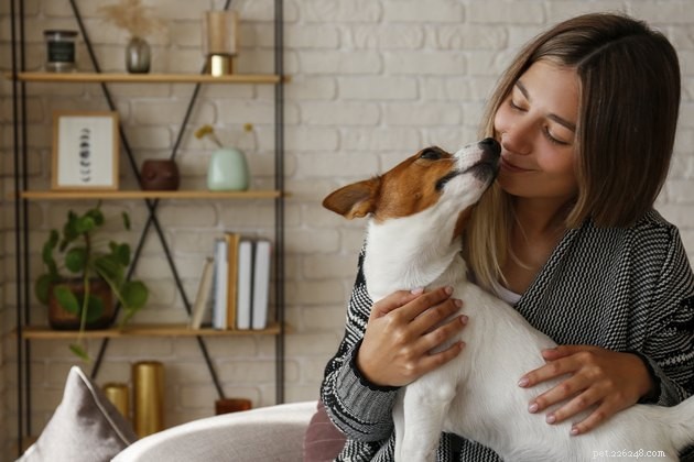 Do Dogs Hug? Insights into Canine Affection and Human Bonding