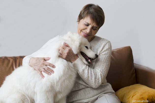 Do Dogs Hug? Insights into Canine Affection and Human Bonding